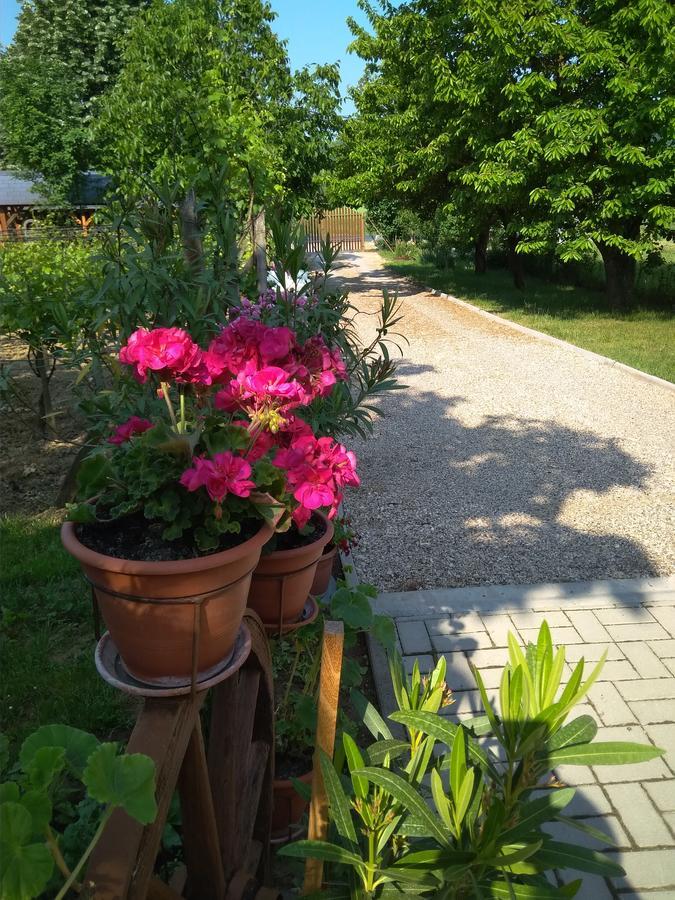 Szoloskert Apartman チェーセクトマイ エクステリア 写真